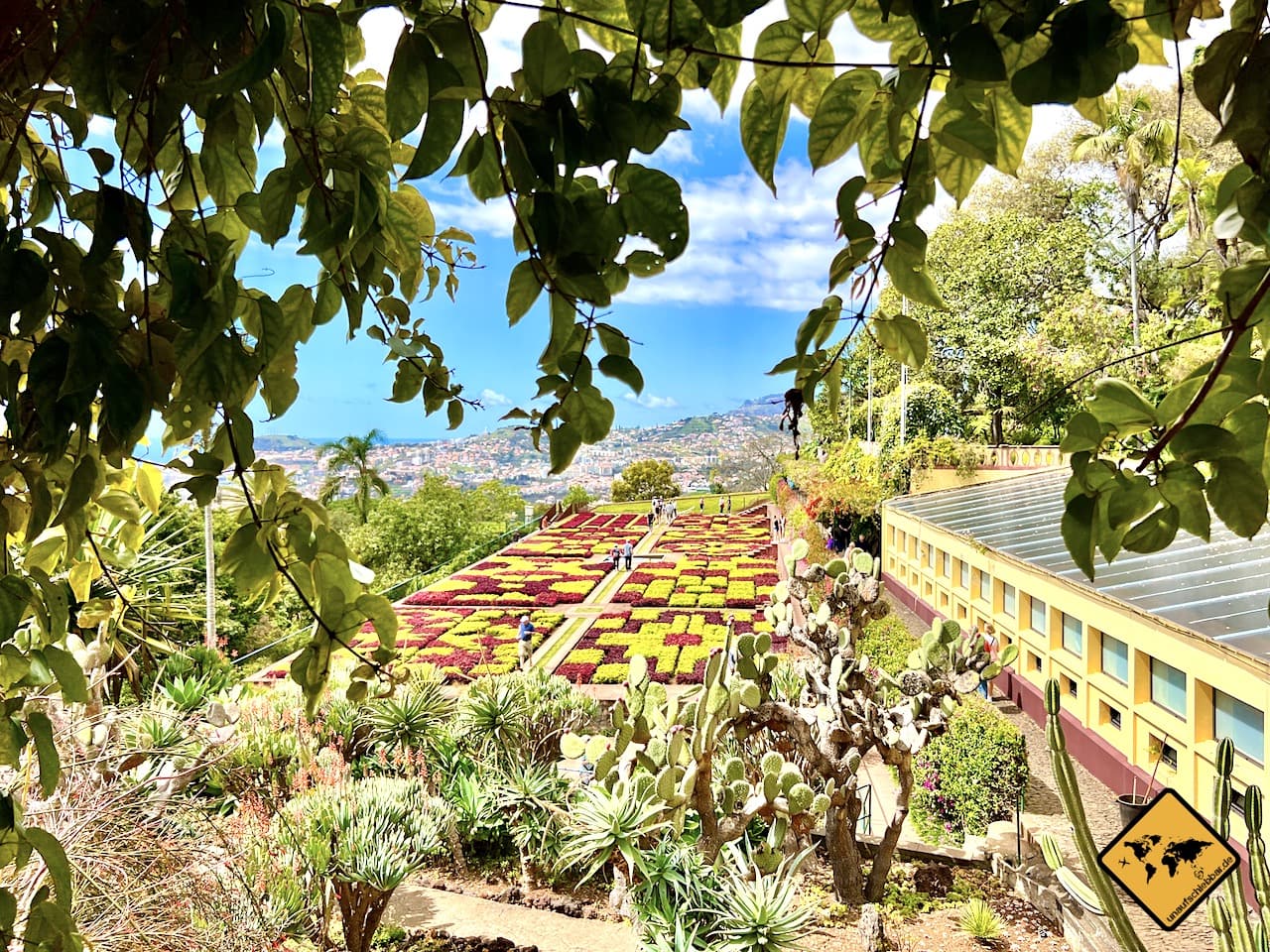 Blumenfeld botanischer Garten Madeira