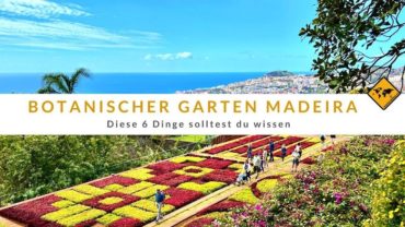 Botanischer Garten auf Madeira: Diese 6 Dinge solltest du wissen