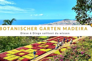 Botanischer Garten auf Madeira: Diese 6 Dinge solltest du wissen