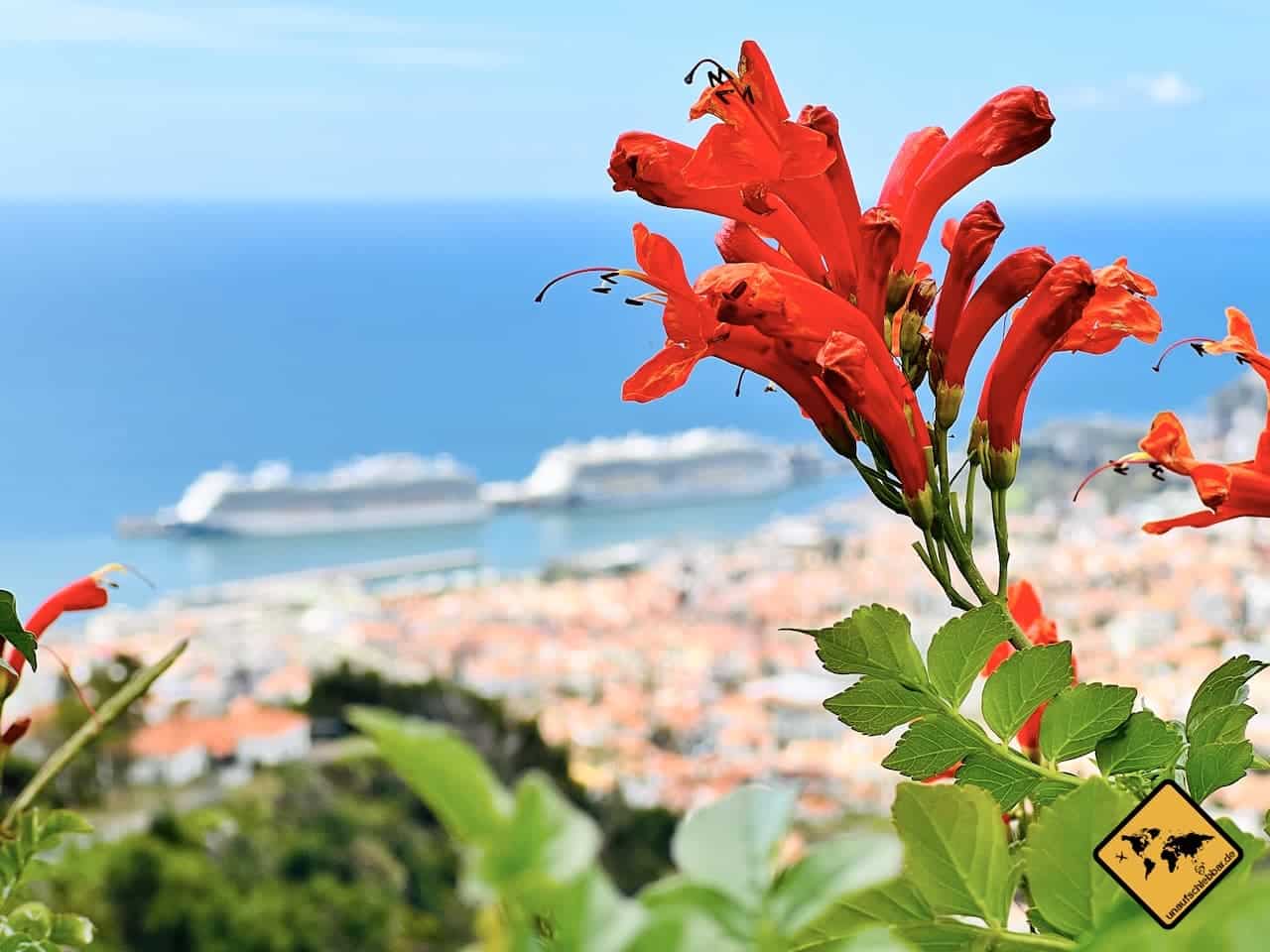 Funchal Hafen Ausblick Jardim Botânico da Madeira