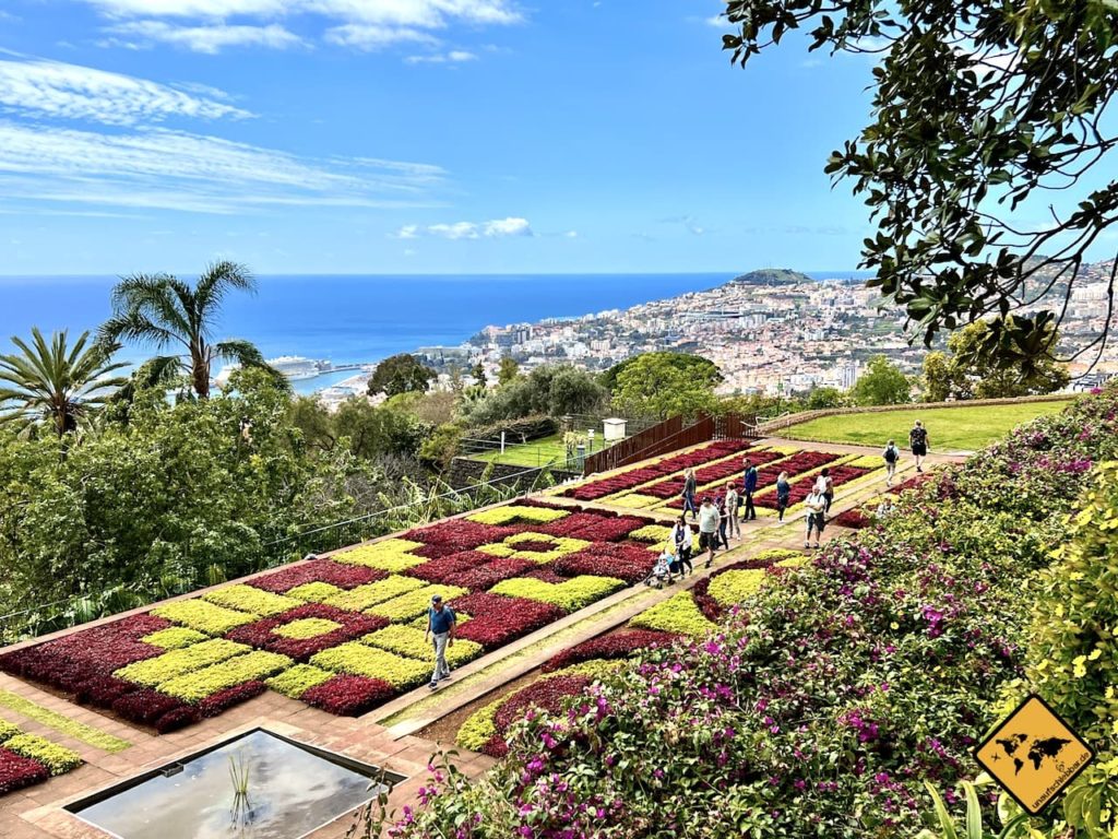 Botanischer Garten auf Madeira Diese 6 Dinge solltest du wissen