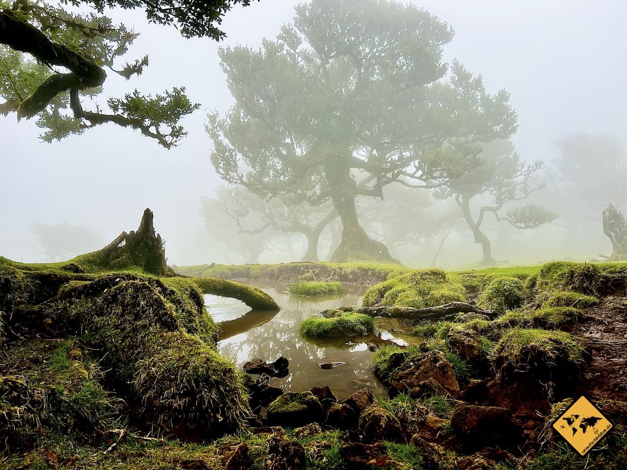 Posto Florestal Feenwald Madeira