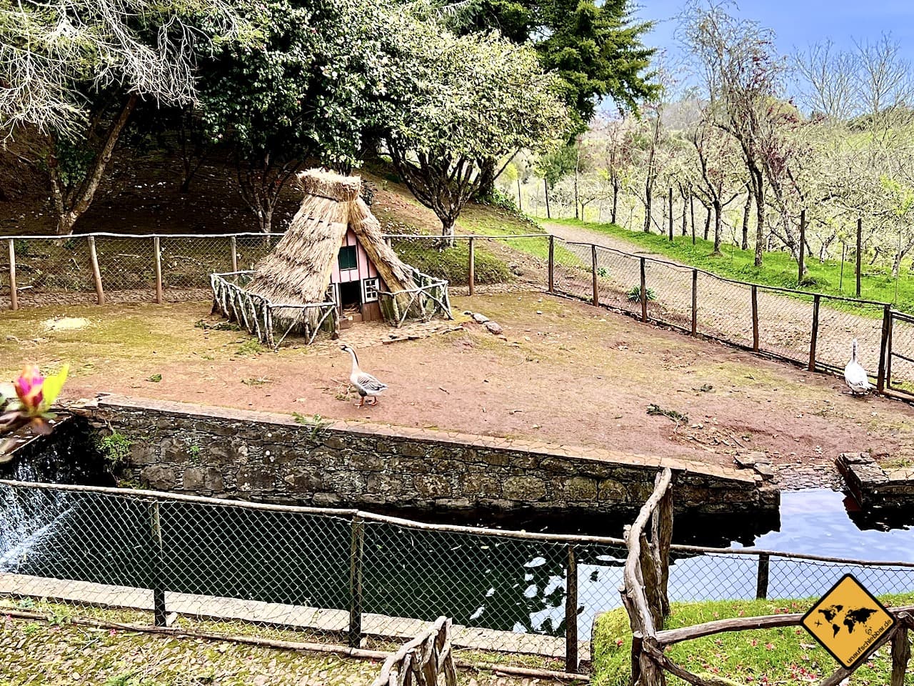 Queimadas Gänse Madeira mit Kindern