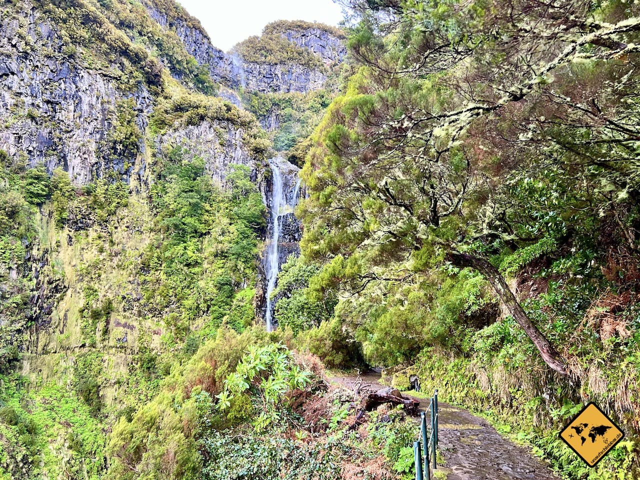 Risco Wasserfall Madeira