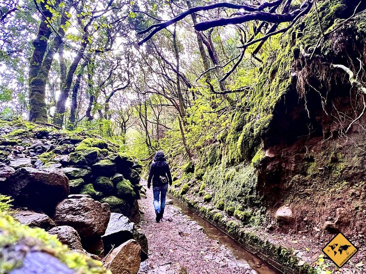 Wandern Madeira Queimadas Levada grüner Kessel