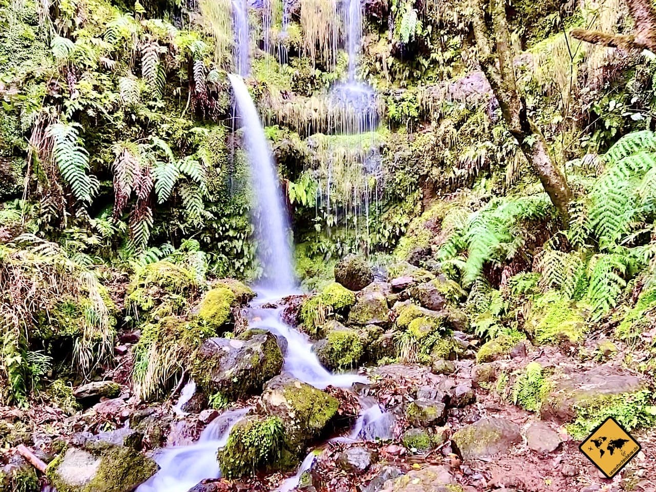 Wanderung grüner Kessel Madeira Wasserfall 1