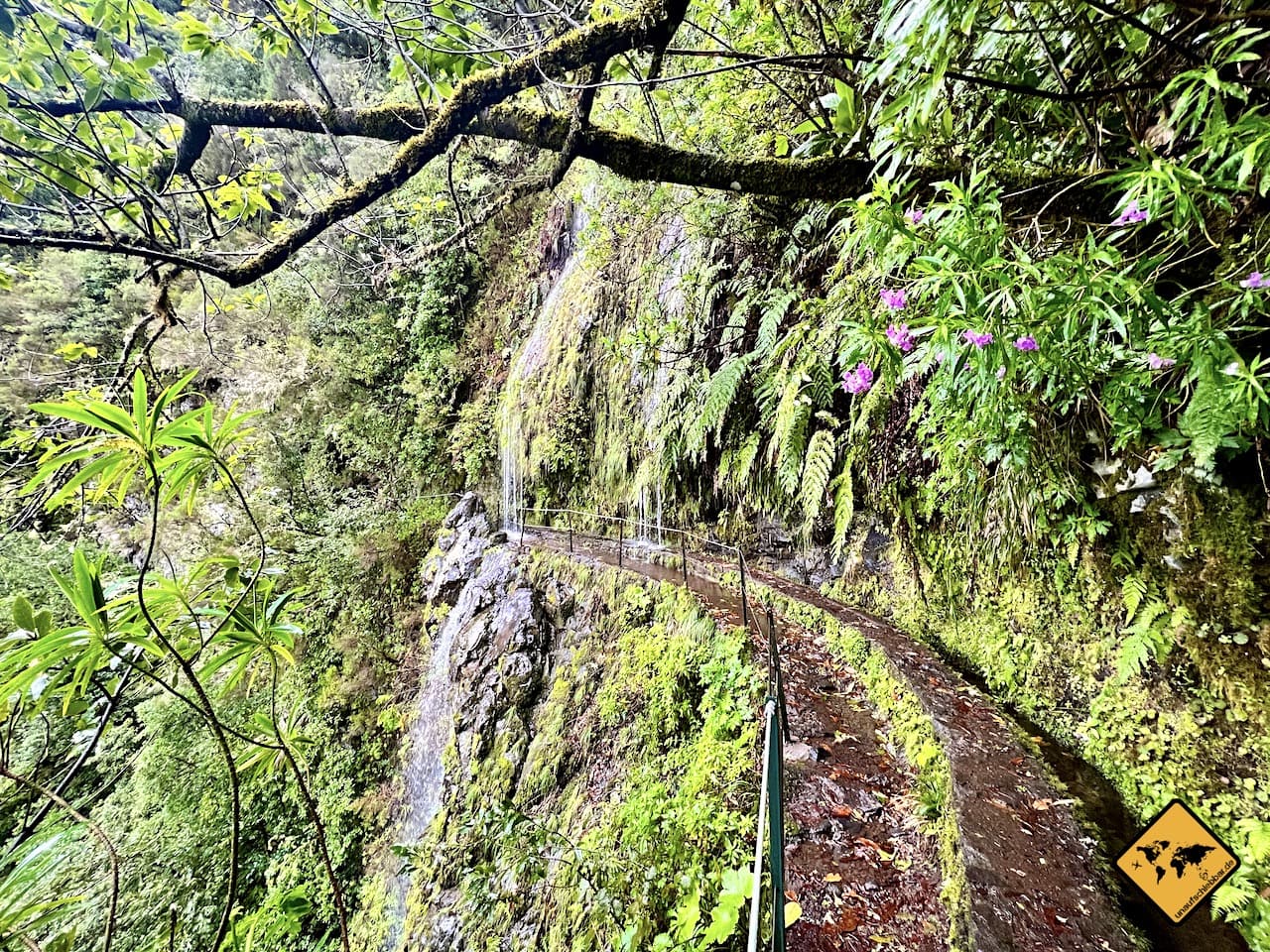 Wanderweg Madeira Caldeirão Verde
