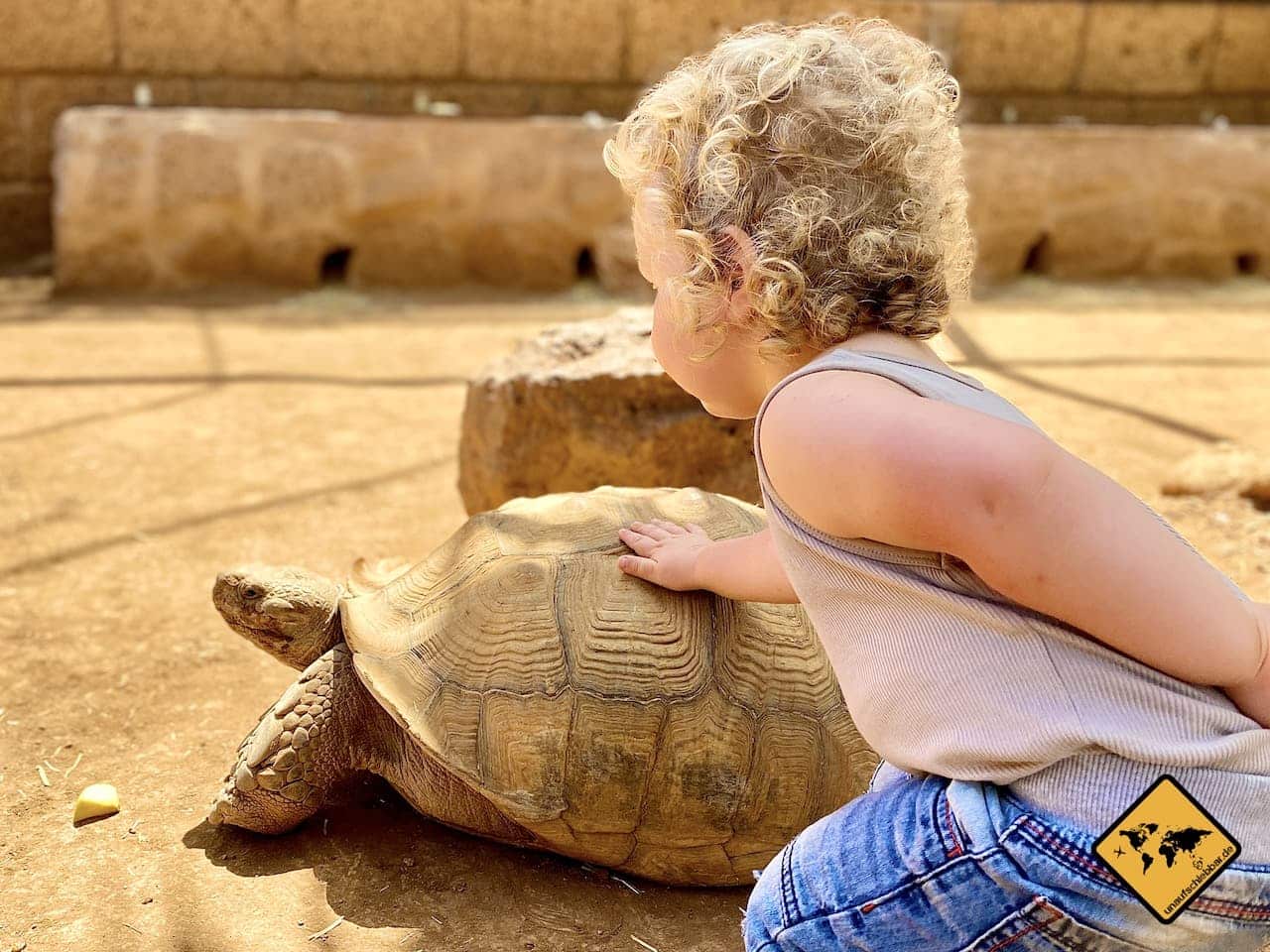 Arona mit Kindern Schildkröte streicheln Monkey Park Teneriffa