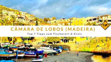 Câmara de Lobos (Madeira): Top 7 Tipps zum Fischerort & Kreis