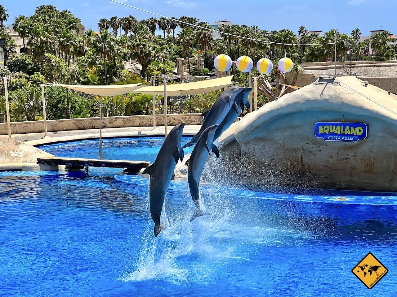Delfin-Show Aqualand Teneriffa