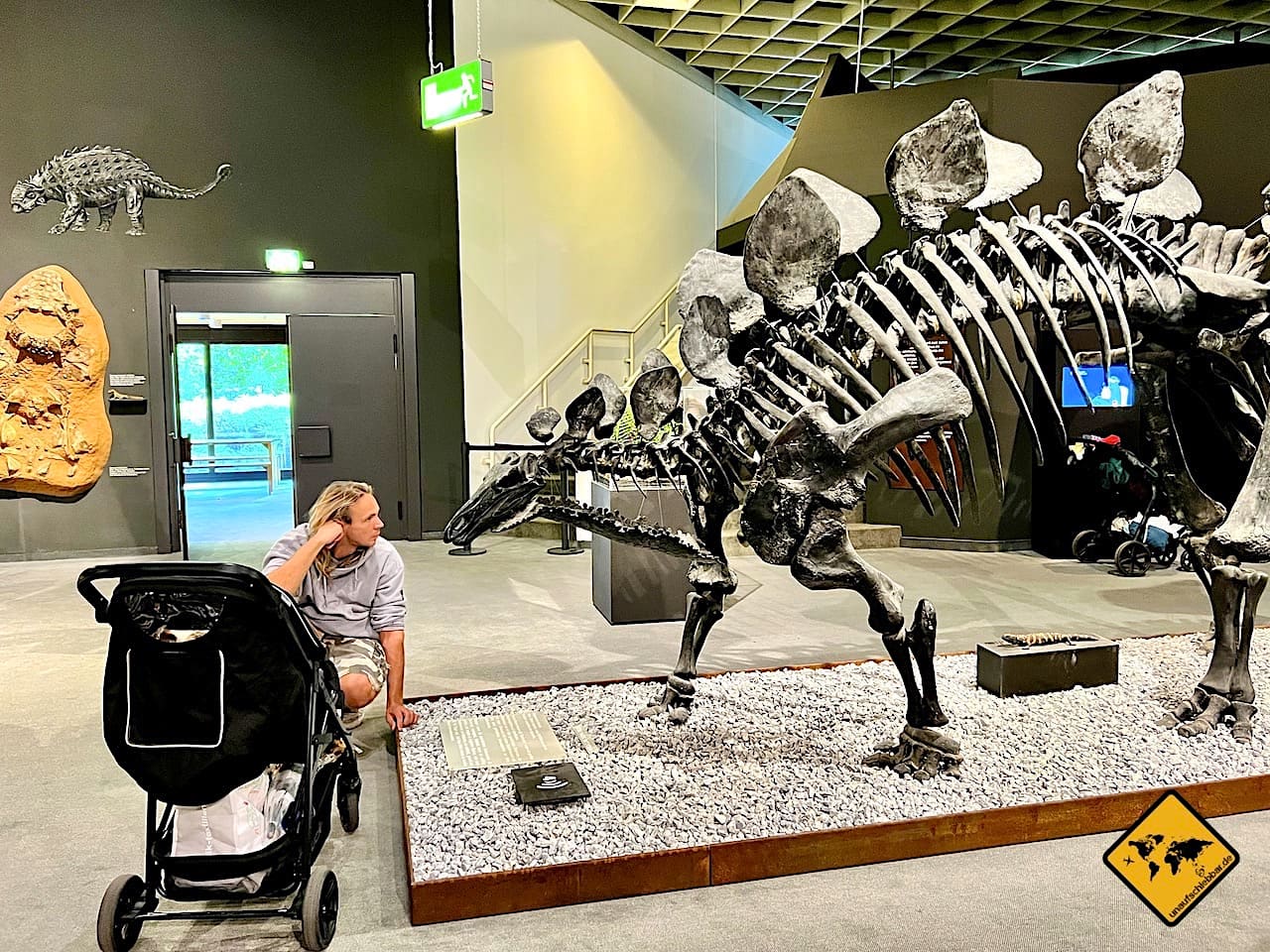 Münsterland Sehenswürdigkeiten LWL-Museum für Naturkunde Dinosaurier-Skelett