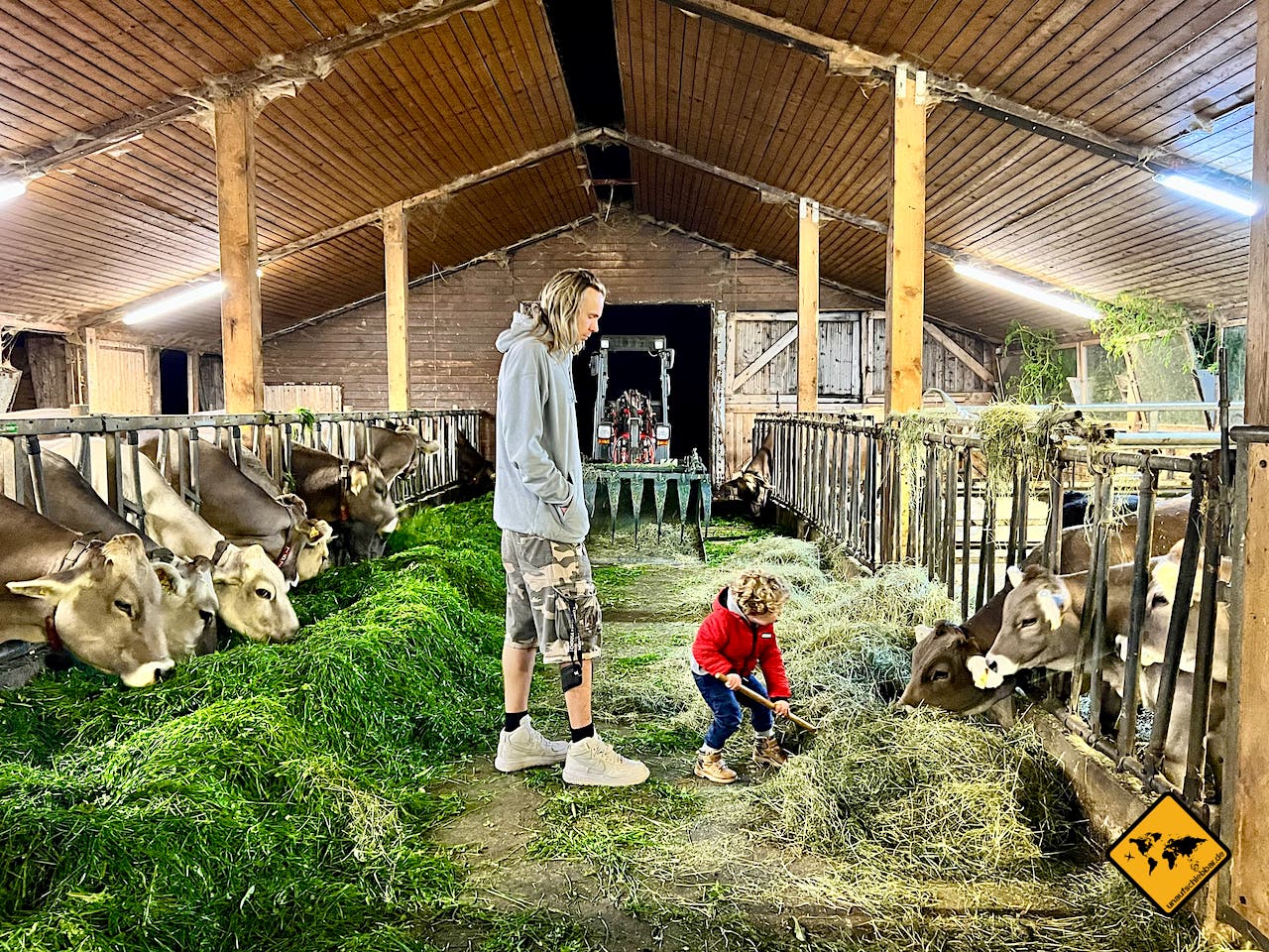 Bauernhofurlaub Allgäu Stögerhof