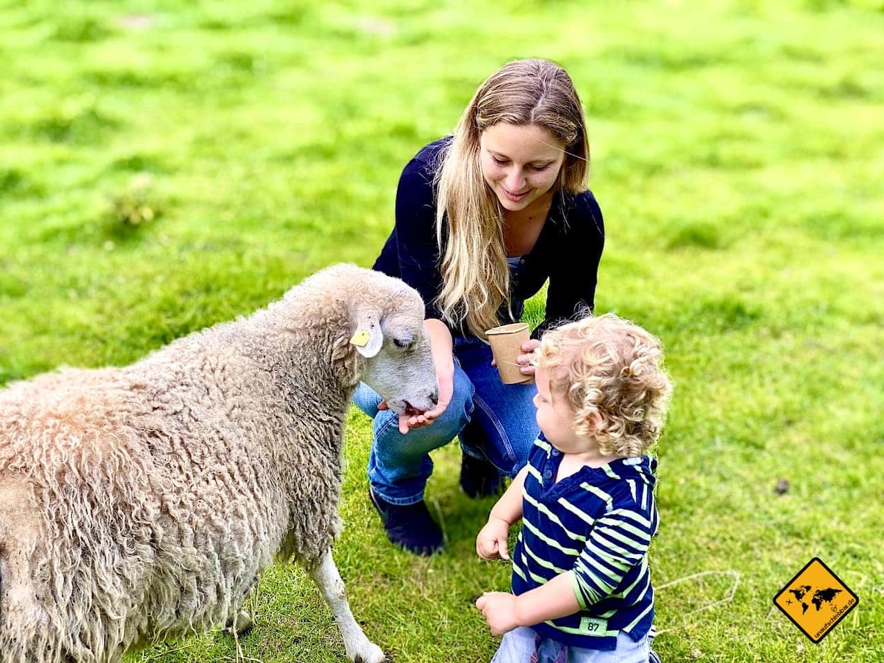 Deutschland mit Kleinkind Urlaub Ostfriesland Haustierpark Schaf