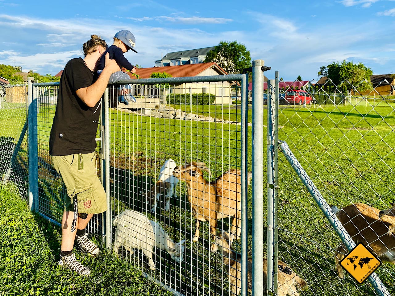 Geheimtipp Unterkunft Familienurlaub Bauernhof Bodensee Ferienhof Schmid