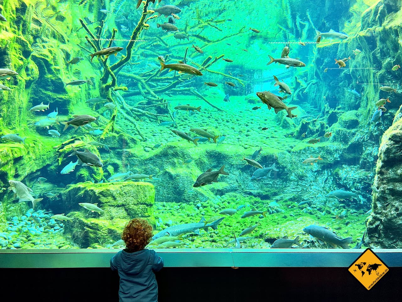 Innsbruck mit Kindern Alpenzoo Aquarium