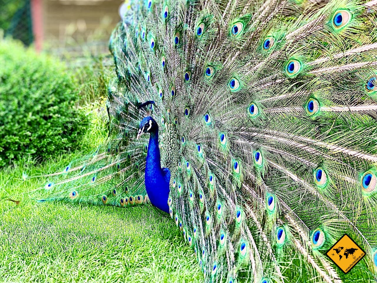 Schlosspark Pfau