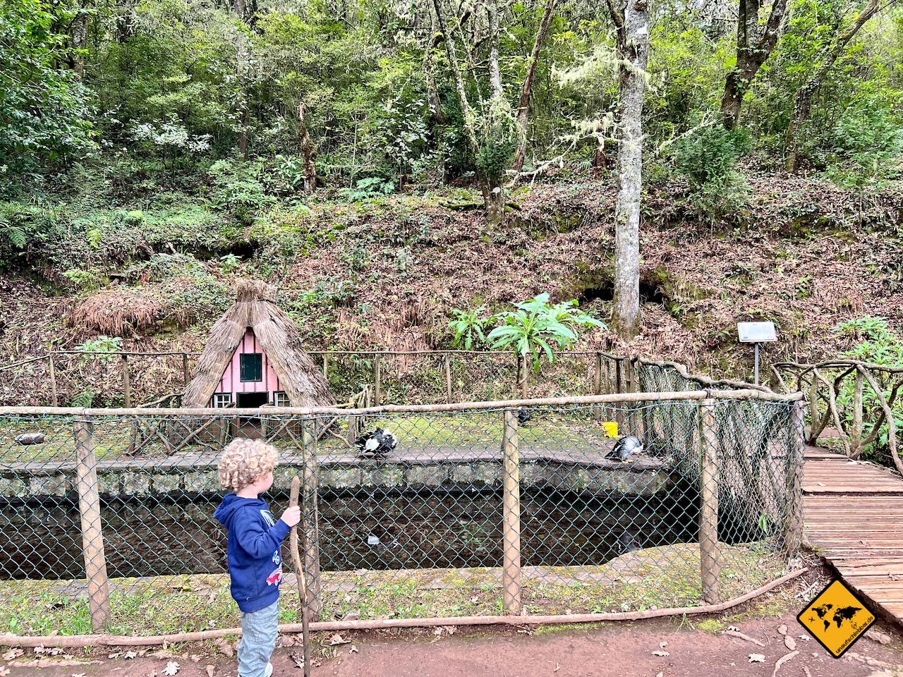 Madeira mit Kindern Enten Wanderung Queimadas