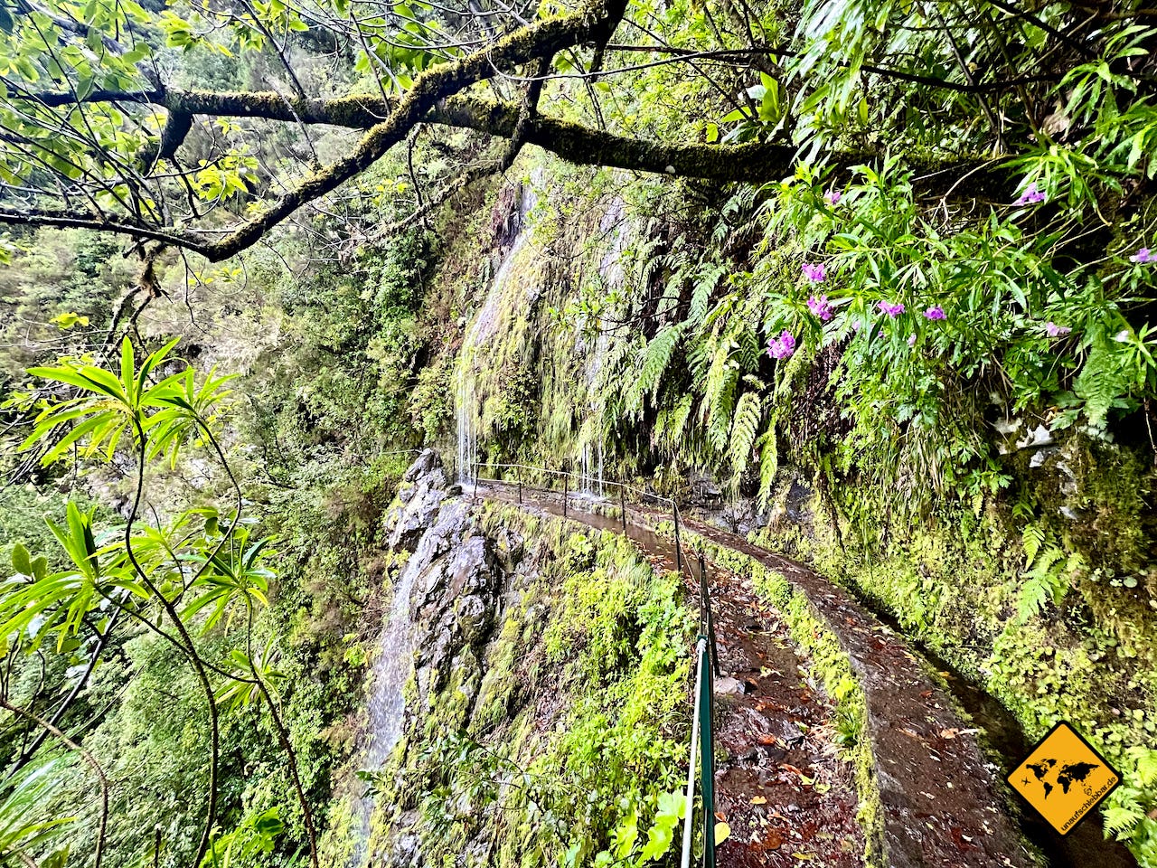 Madeira wandern Queimadas grüner Kessel Weg