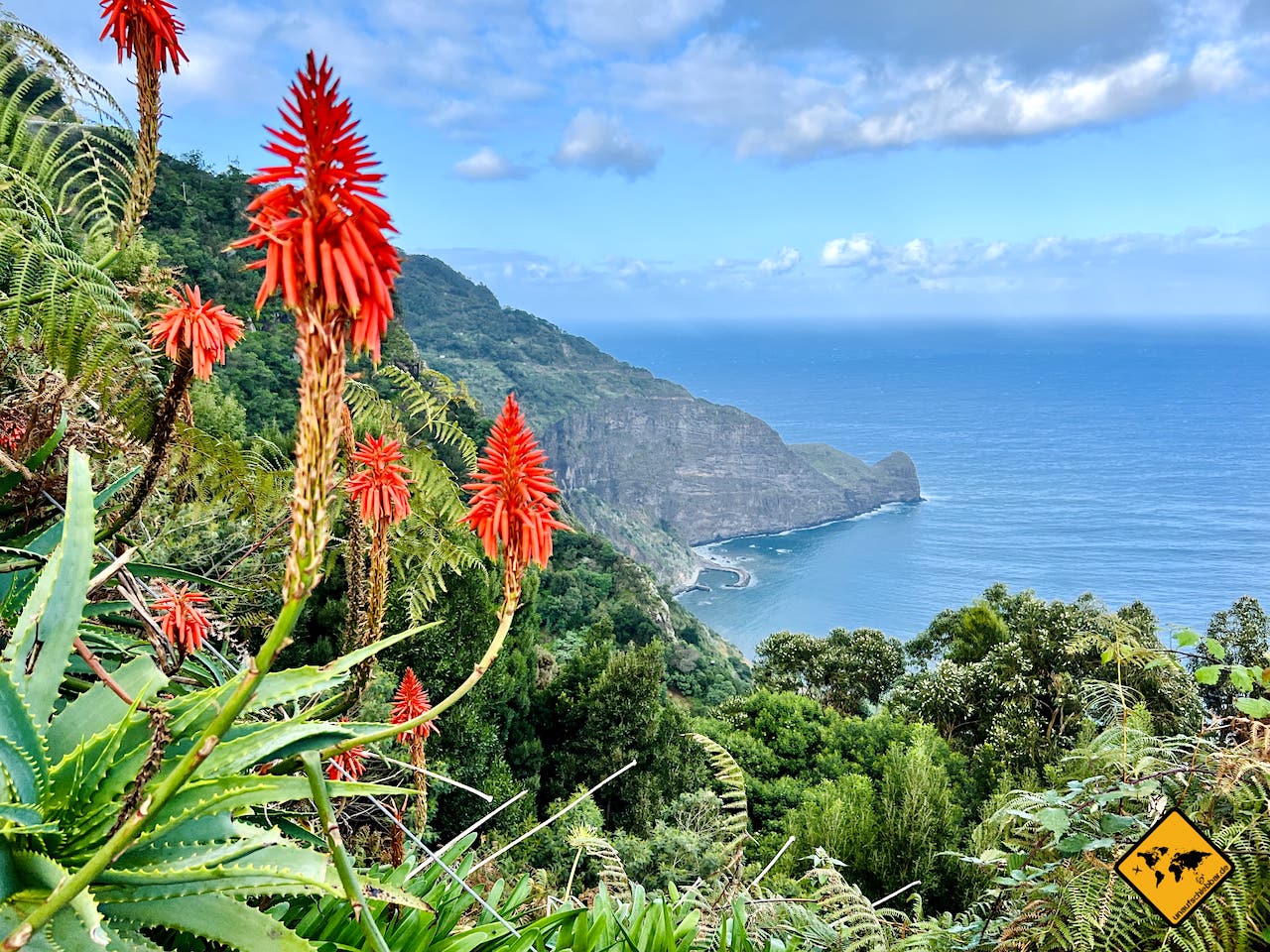 Madeira Wetter Dezember grüne Landschaft Aloe vera