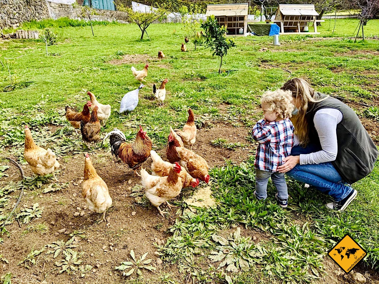 Osterferien mit Kindern Hühner Bodensee