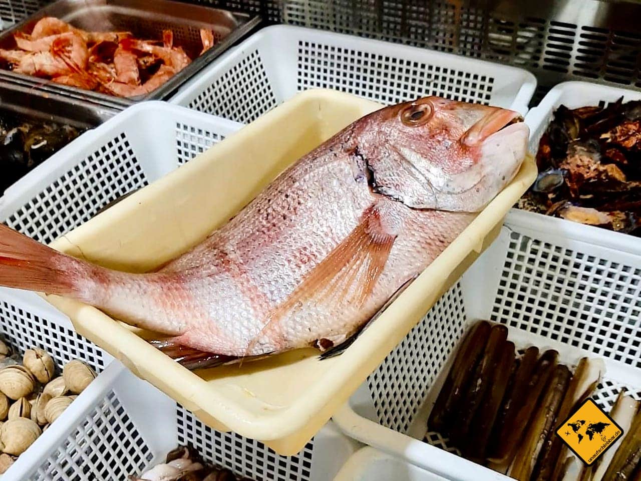 Teneriffa Fisch-Restaurant El Rocás San Miguel de Tajao
