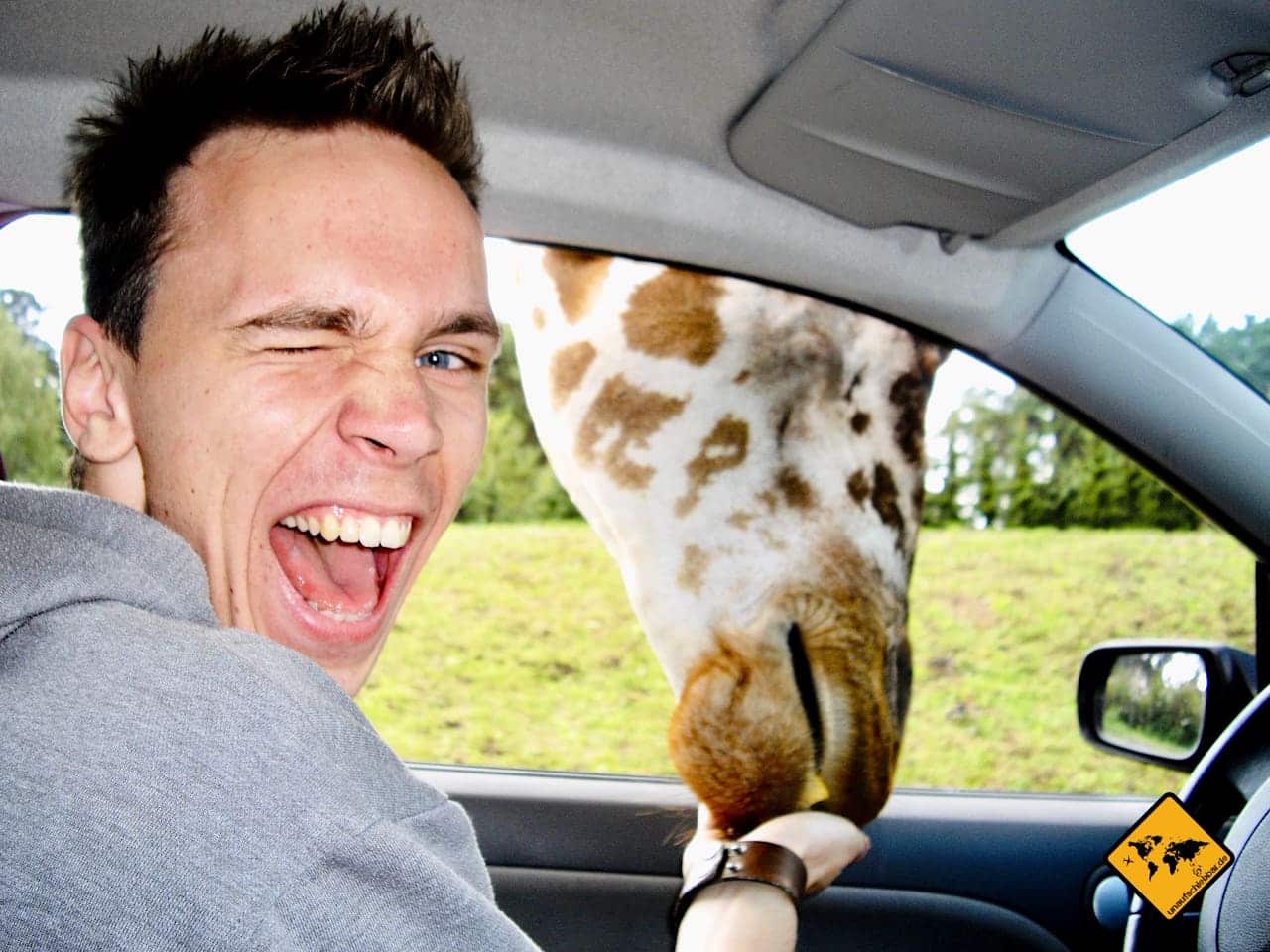 Unternehmungen mit Kindern Serengeti-Park Hodenhagen Giraffe