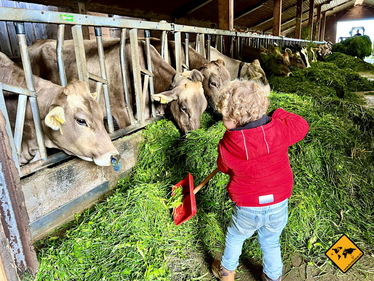 Was mit Kindern unternehmen Ausflug Bauernhof