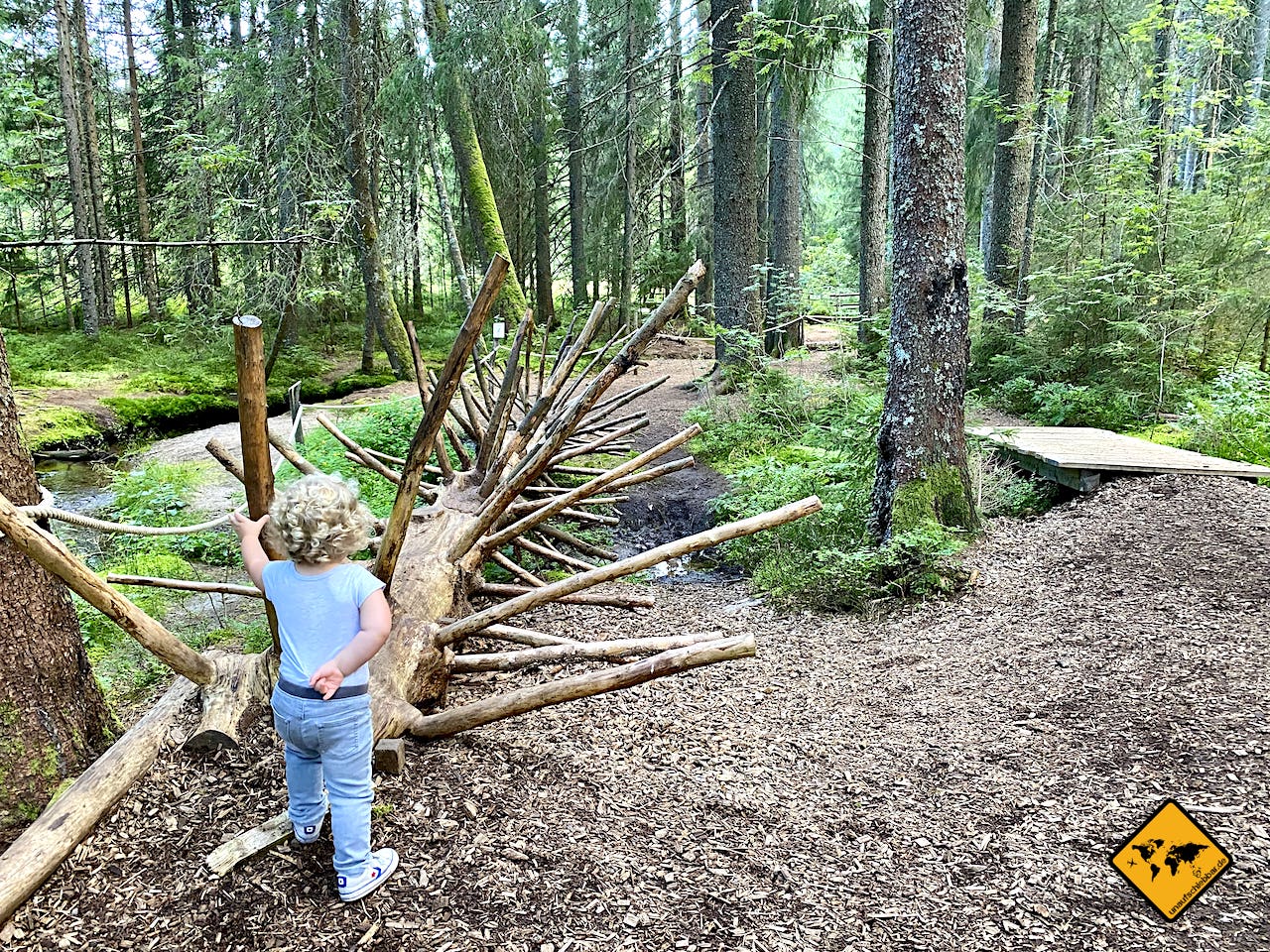 Was unternehmen mit Kindern wandern Erlebnispfad Wald