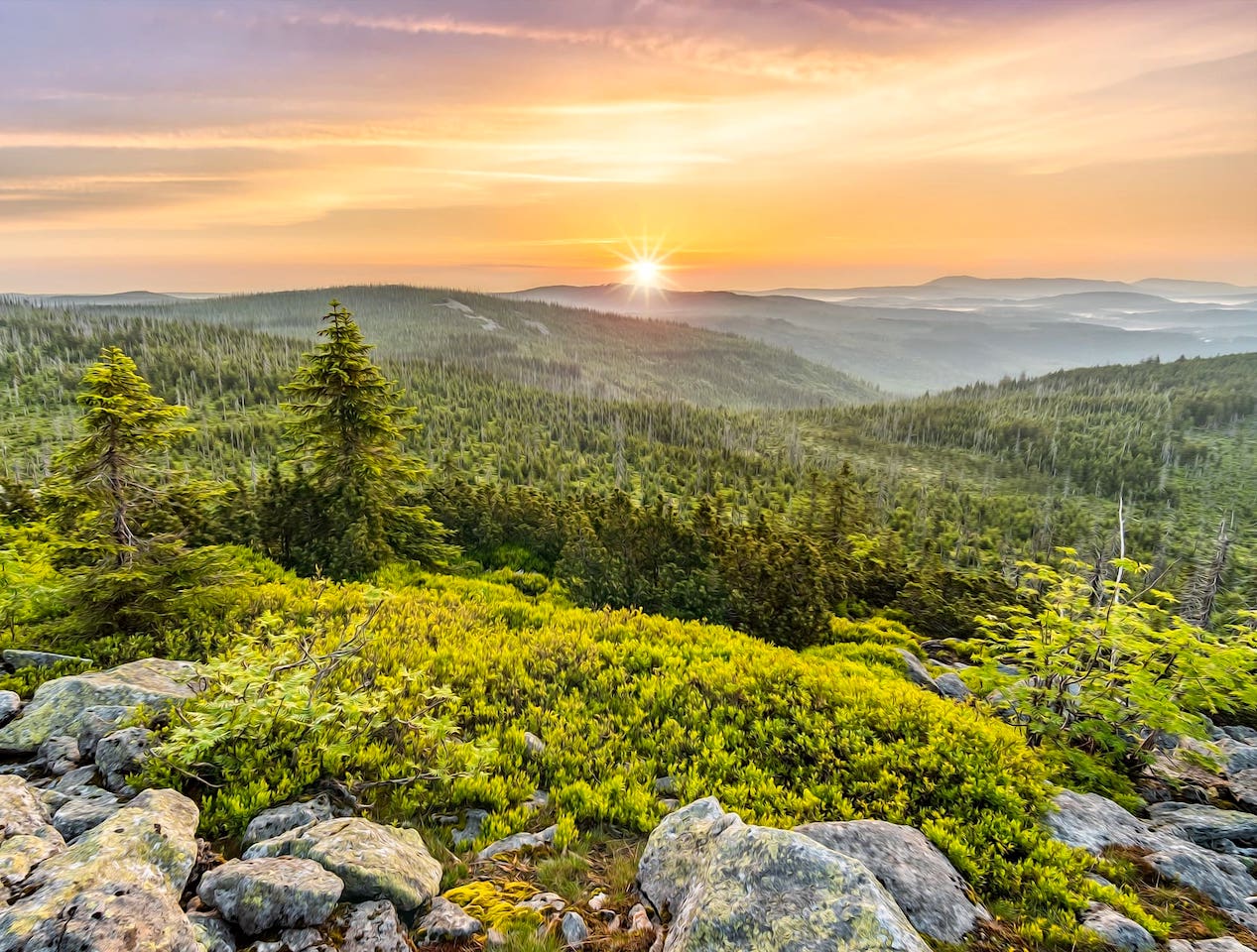 Bayerischer Wald Lusen