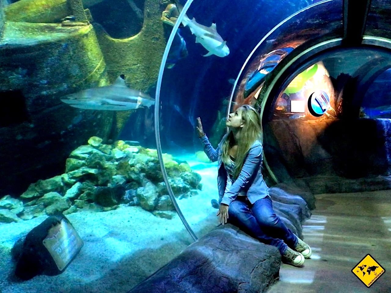 Freizeitaktivitäten in der Nähe Aquarium Sea Life