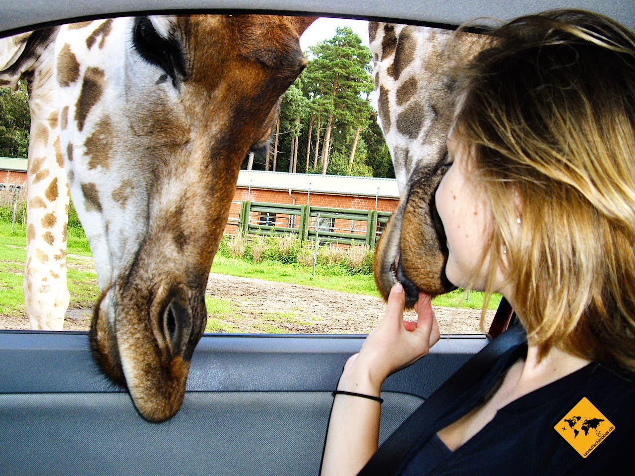 Safari-Park Giraffen Unternehmungen Freizeit