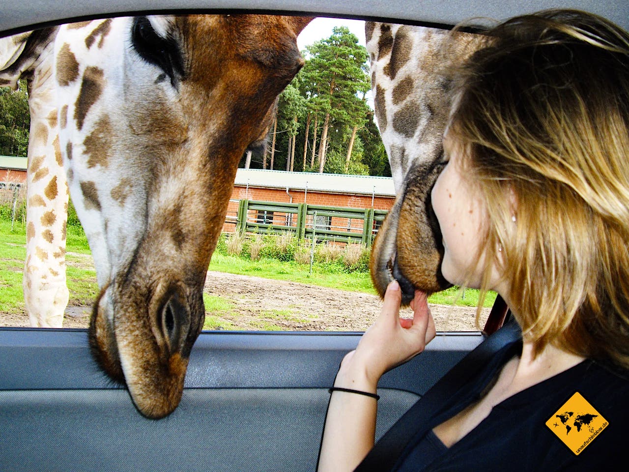 Urlaub mit Kindern in Deutschland Serengeti-Park Hodenhagen Giraffen