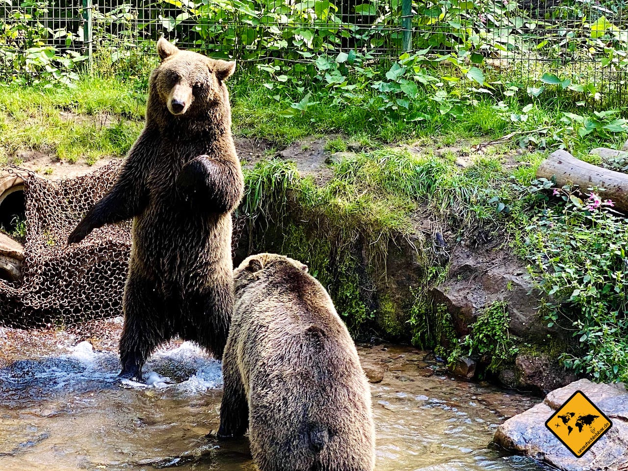 Wildpark Schwarzwald Alternativer Wolf- und Bärenpark