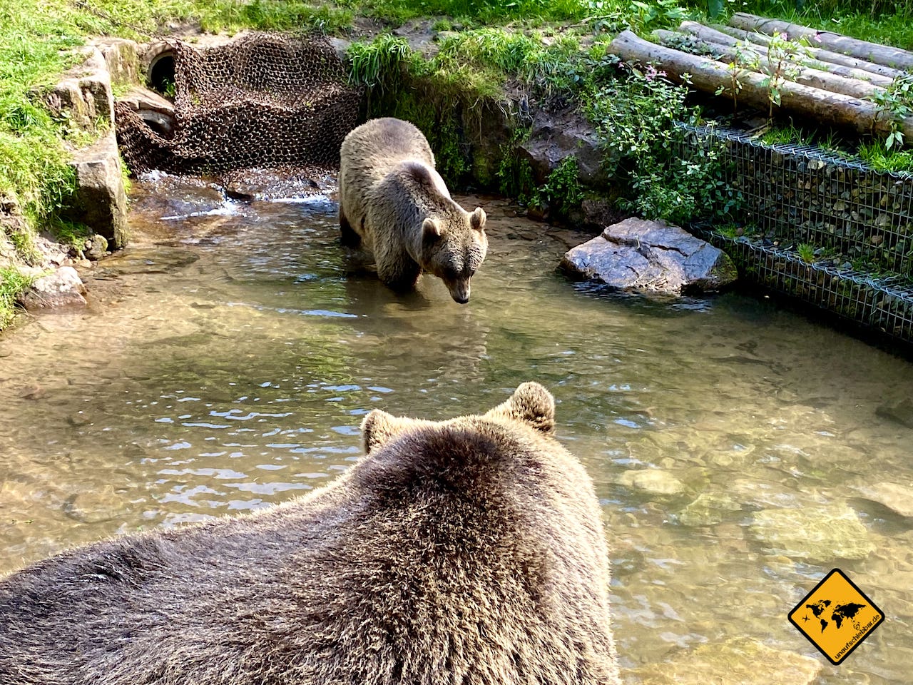 Wildparks Deutschland Bären