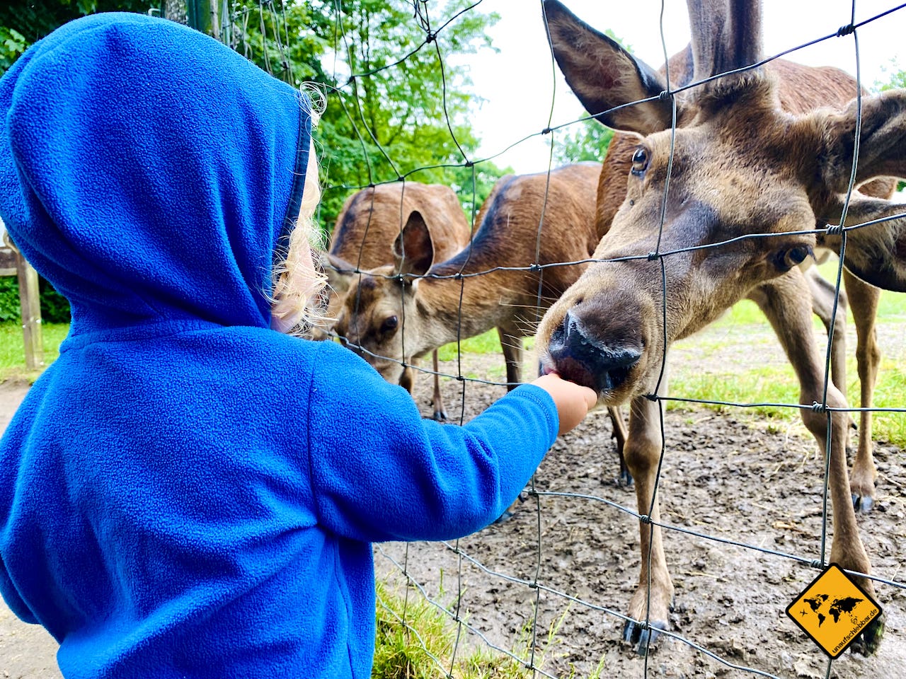 Wildparks mit Kindern