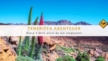 Teneriffa-Abenteuer Diese 5 Orte wirst du nie vergessen
