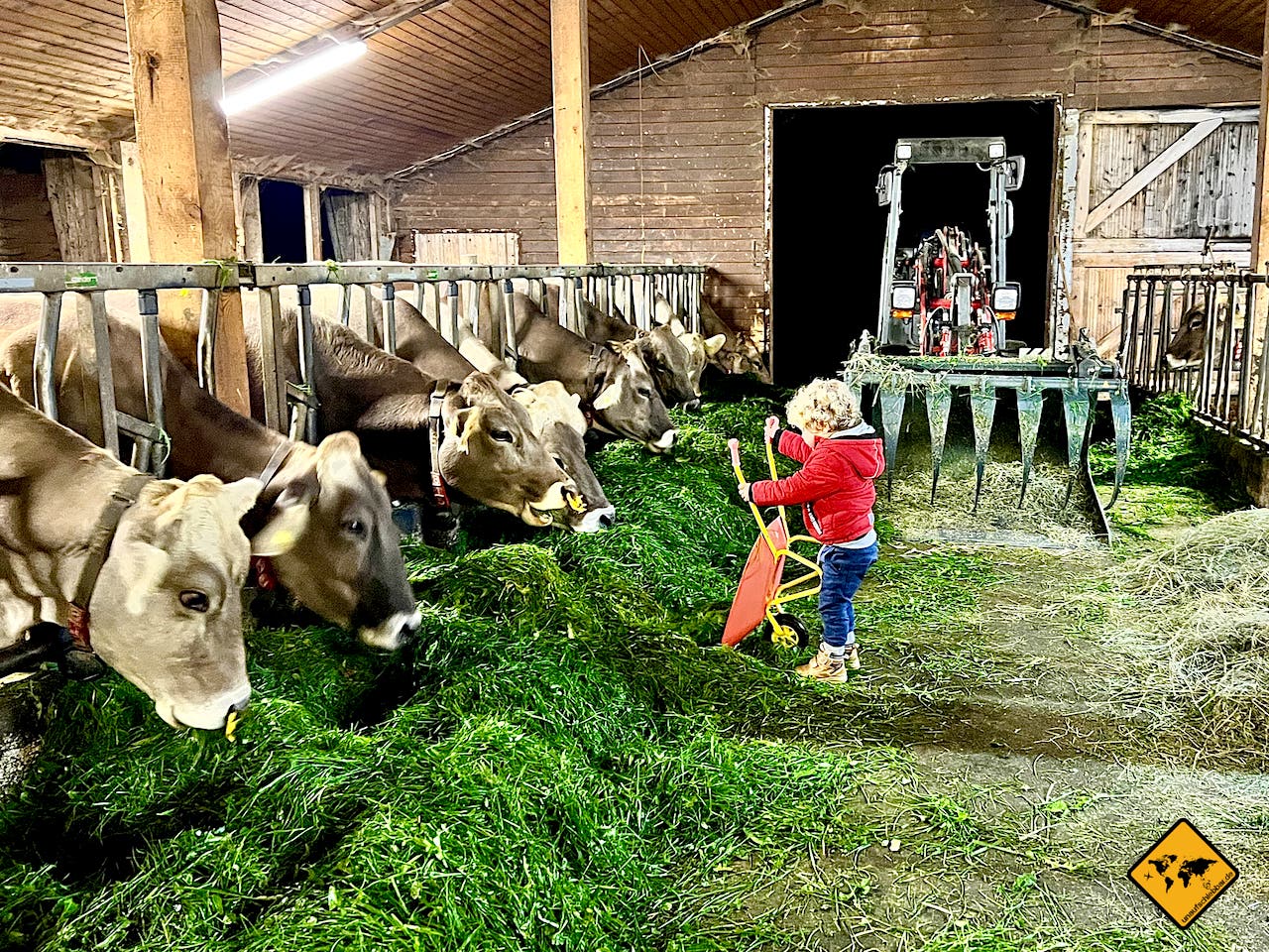 Kurzurlaub mit Kindern Bauernhof Kuhstall