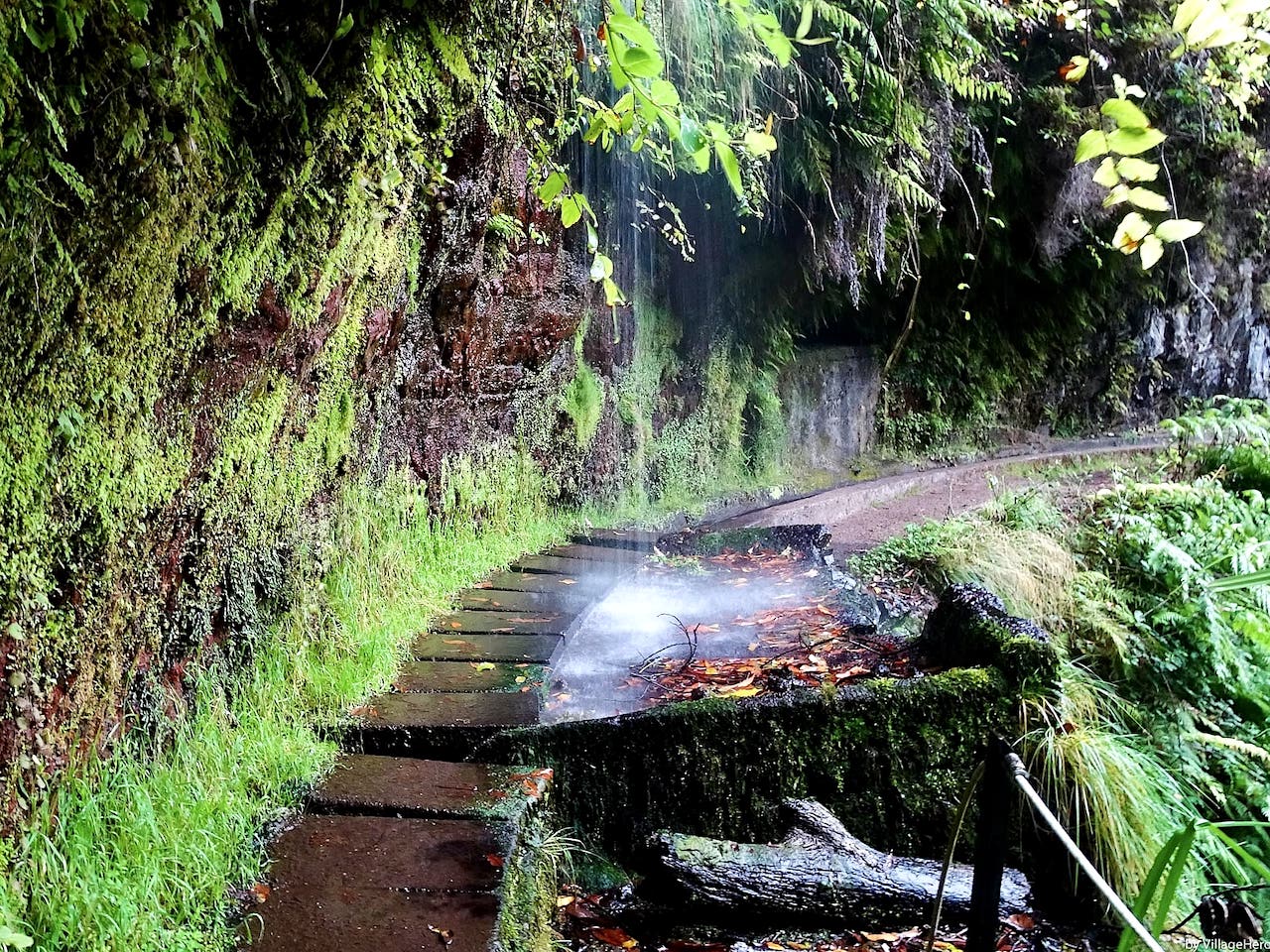 Levada do Rei
