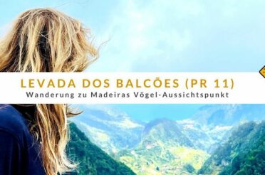 Levada dos Balcões (PR 11): Wanderung zu Madeiras Vögel-Aussichtspunkt