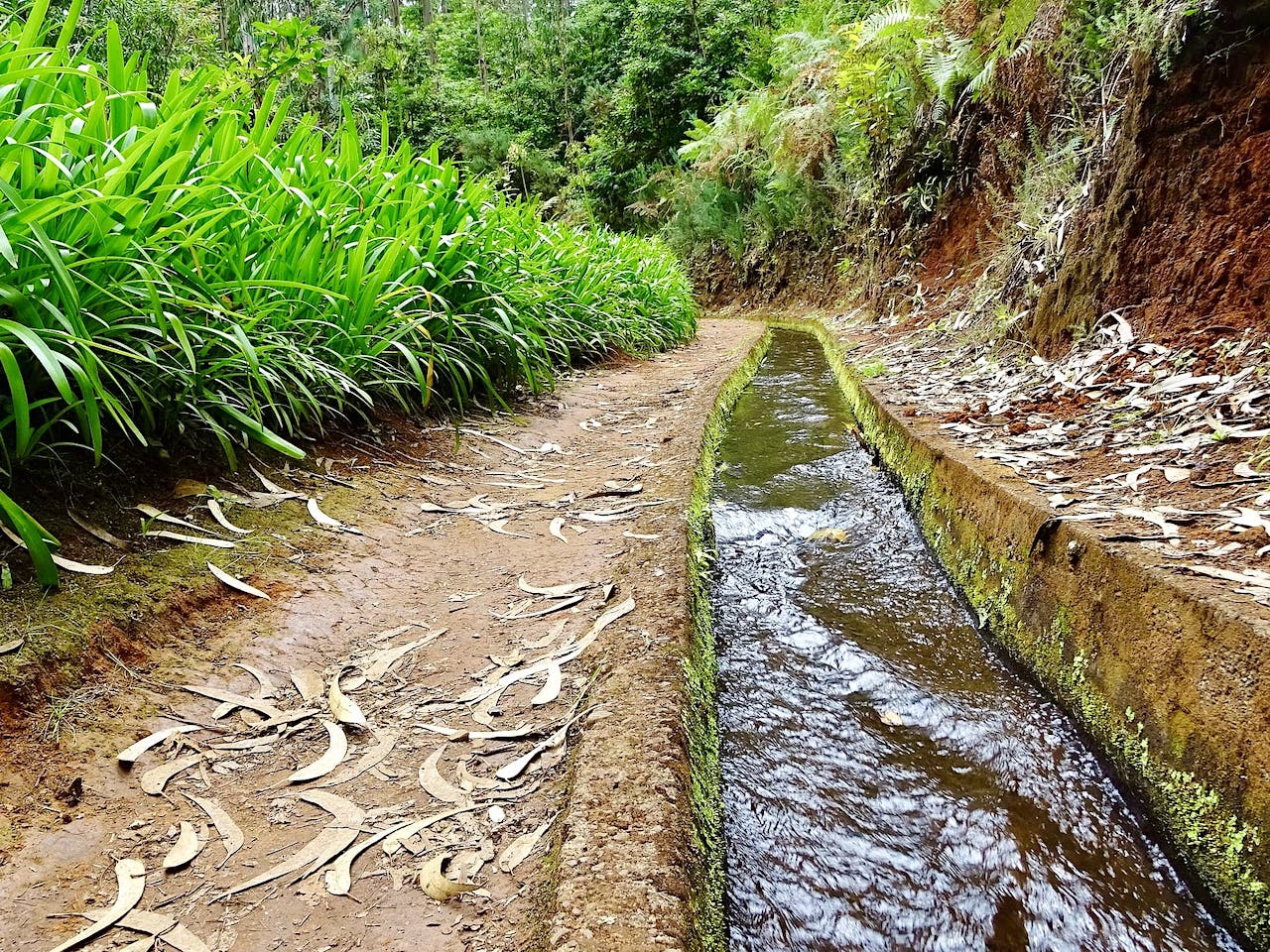 Madeira Wandertouren Levada do Rei
