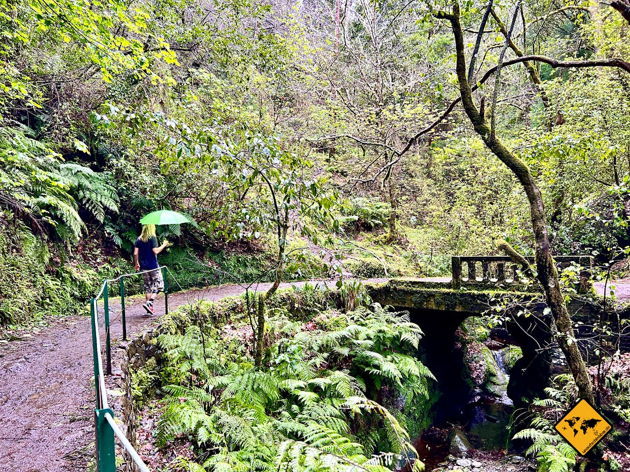 Madeira wandern Levada dos Balcões