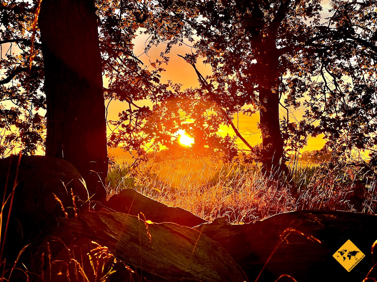 Landschaftsfoto Sonnenuntergang Wald