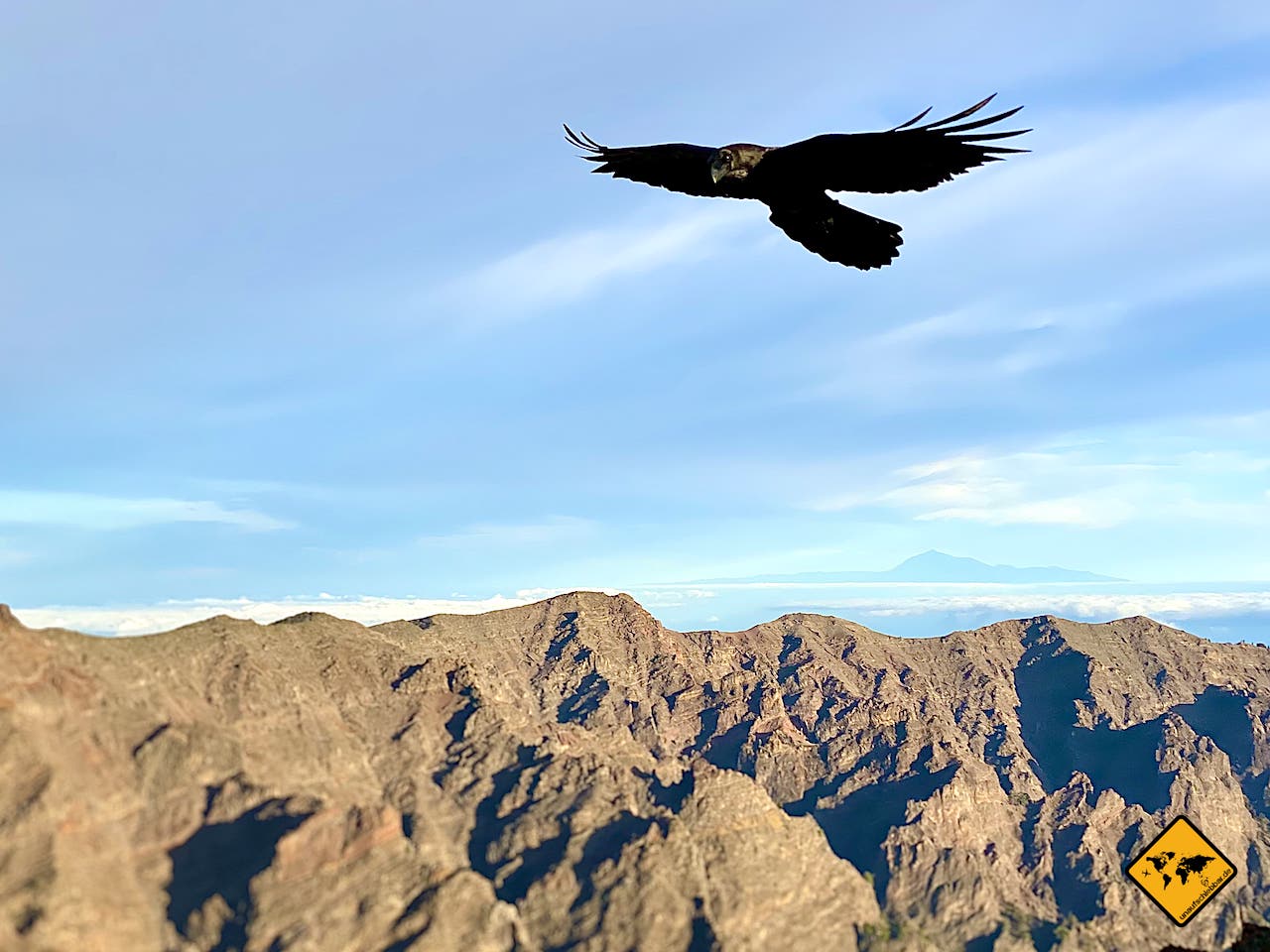 Naturfotografie Berge Adler