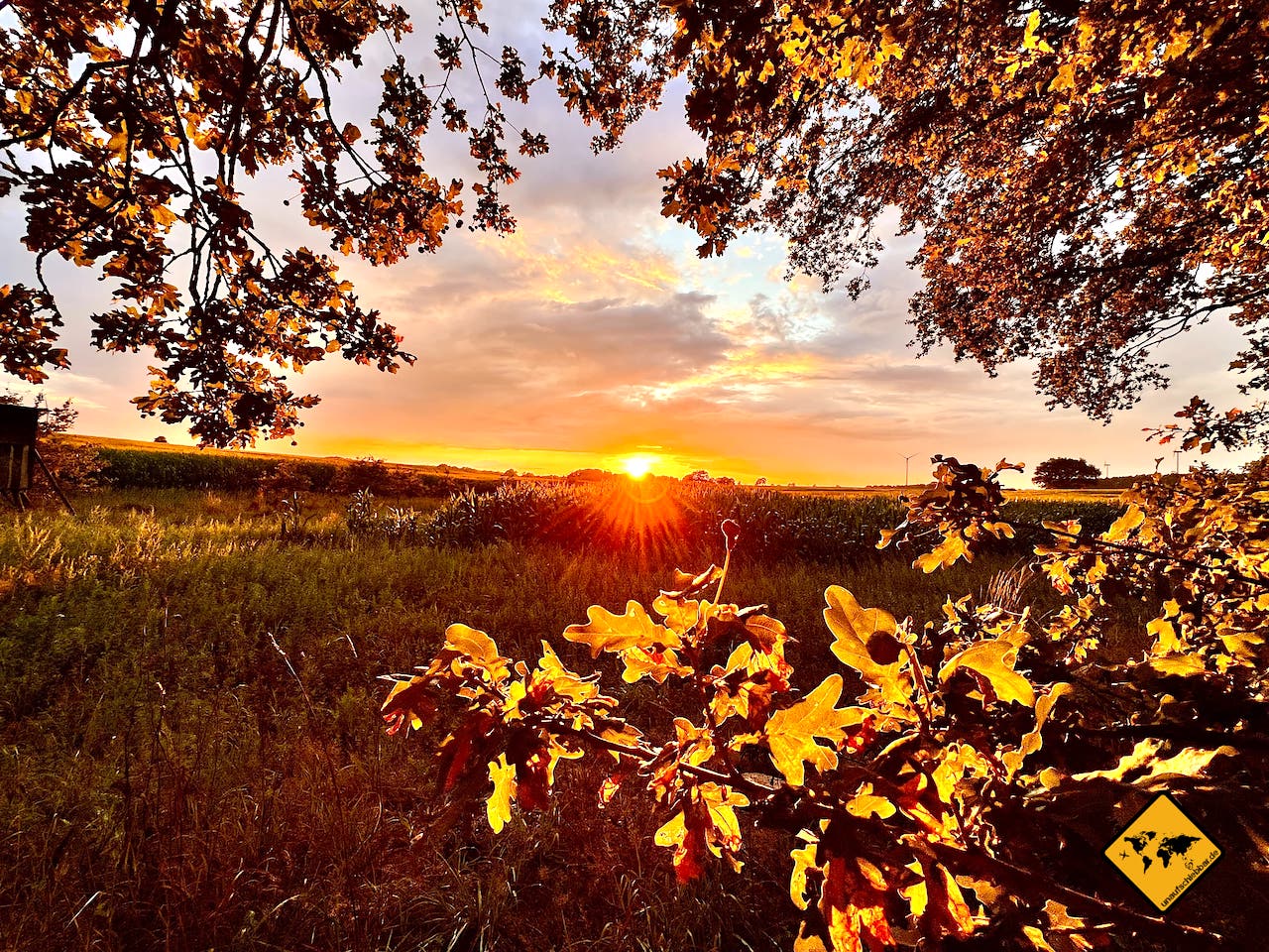 Sonnenuntergang Natur Felder Bäume