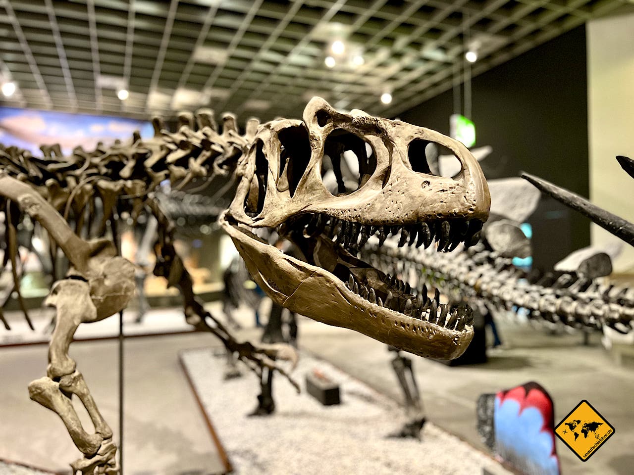 Indoor Aktivitäten Museum Dinosaurier