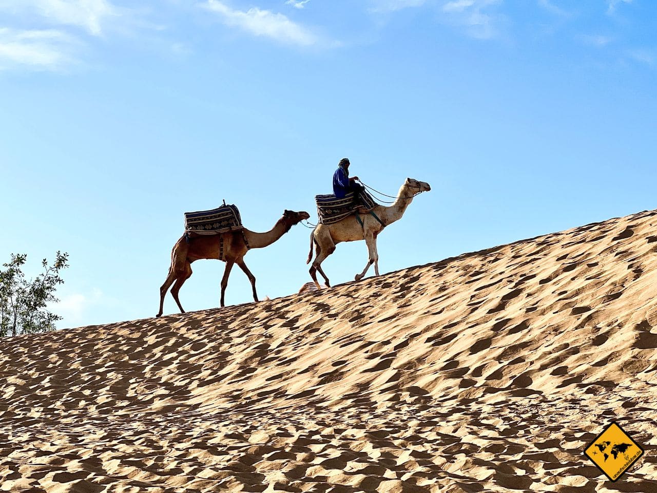Kamele Dünen Marokko