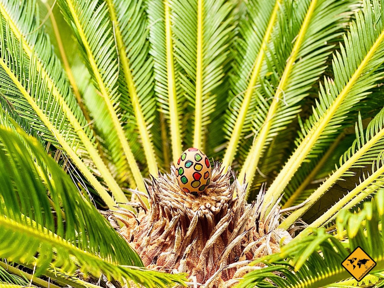 Osterei Palme