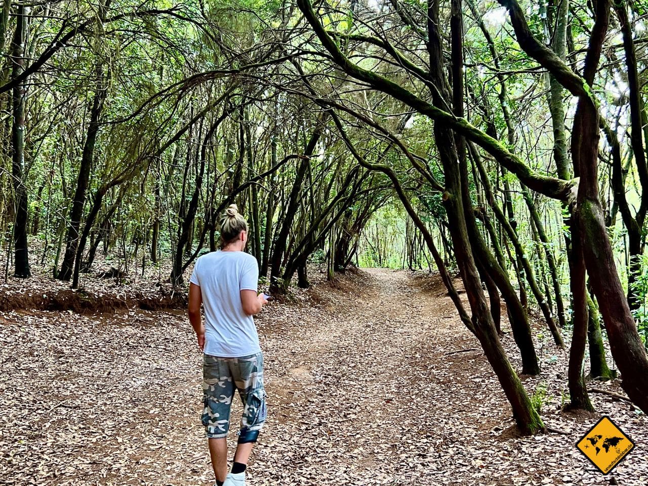 Sendero Agua García