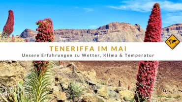 Teneriffa im Mai: Erfahrungen zu Wetter, Klima und Temperatur