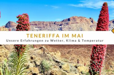 Teneriffa im Mai: Erfahrungen zu Wetter, Klima und Temperatur